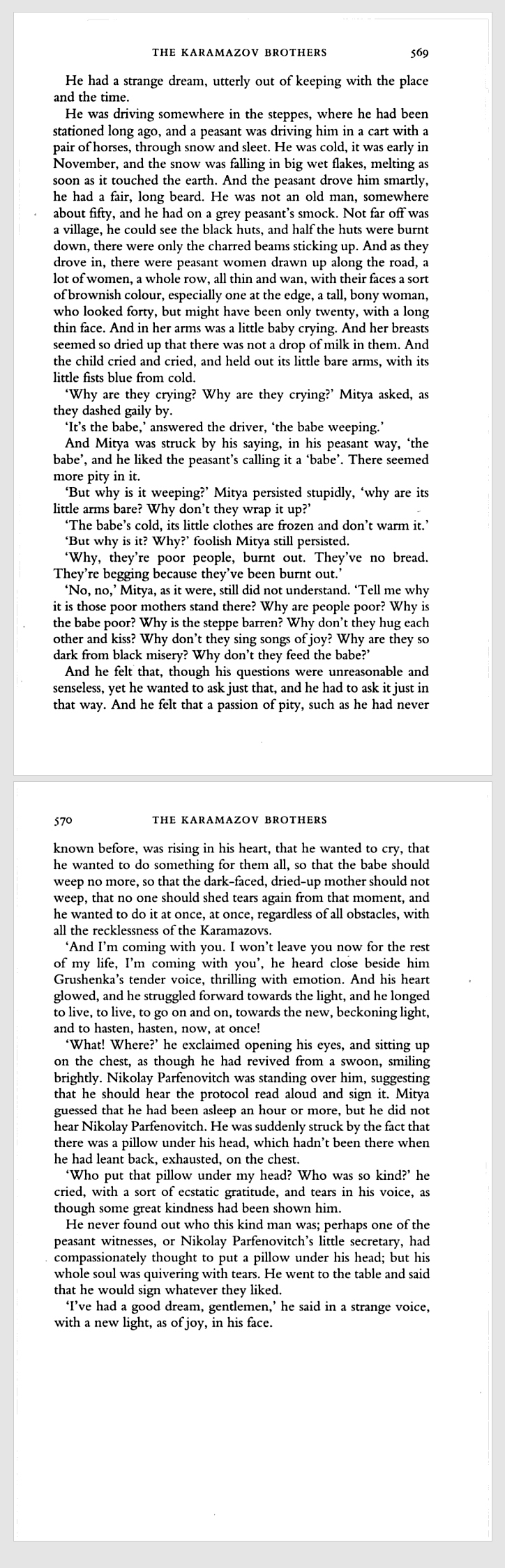 Passage from The Brothers Karamazov